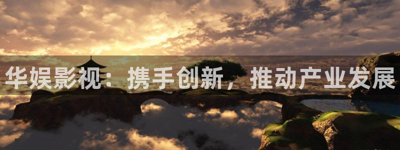 6080新视觉电视剧在线：华娱影视：携手创新，推动产业发展