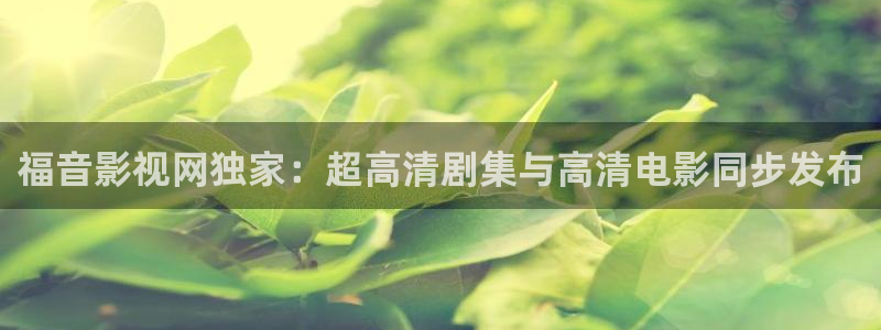 新视觉yy6080高清电视剧在线观看：福音影视网独家：超高清剧集与高清电影同步发布