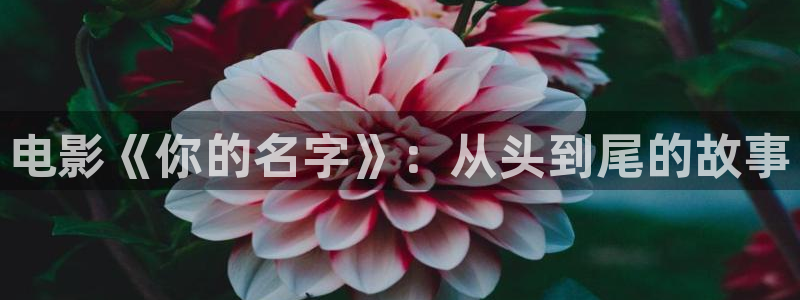6080新视觉日韩：电影《你的名字》：从头到尾的故事