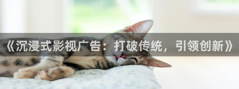 上海新视觉：《沉浸式影视广告：打破传统，引领创新》