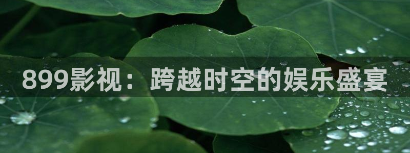 6080新视觉手机电影网：899影视：跨越时空的娱乐盛宴