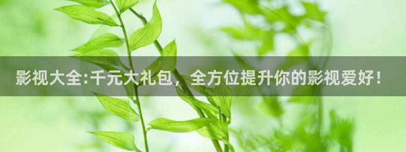 新视觉6080影视：影视大全:千元大礼包，全方位提升你的影视爱好！