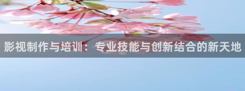 奇领6080新视觉电影免费播放：影视制作与培训：专业技能与创新结合的新天地